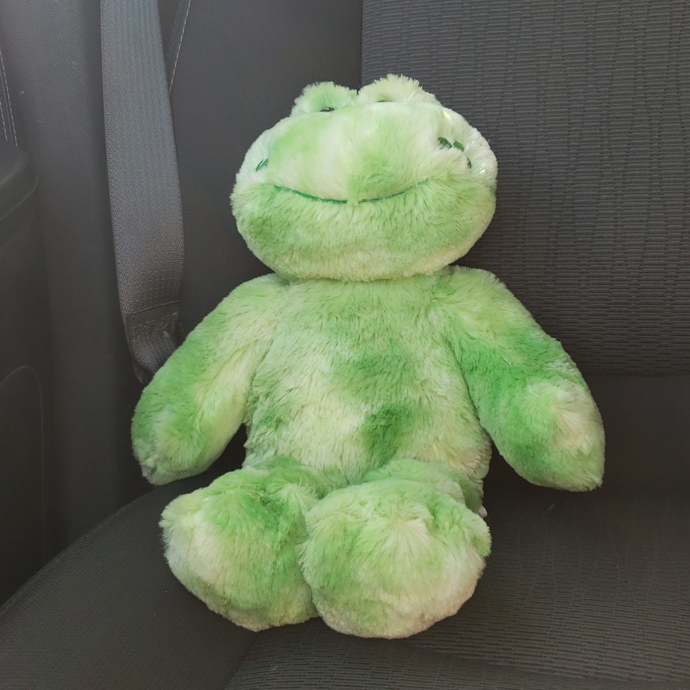 Green Shamrock Frog Build A Bear Plush Stuffed Animal - happy go lucky 2009